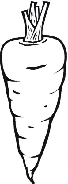 Морковь раскраска
