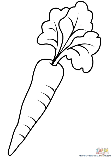 Морковь раскраска для детей