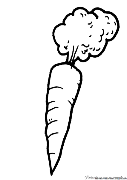 Морковка раскраска для детей