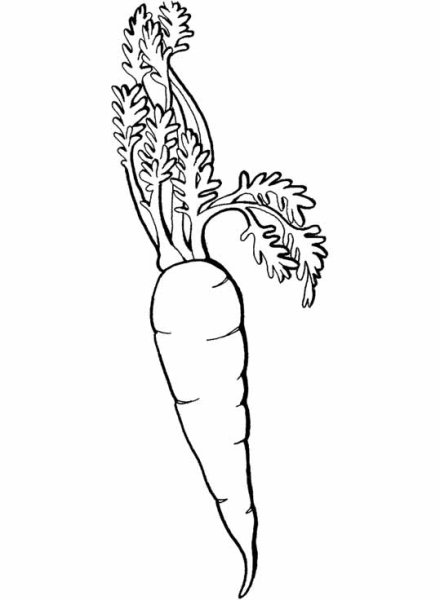 Трафареты овощей и фруктов для вырезания