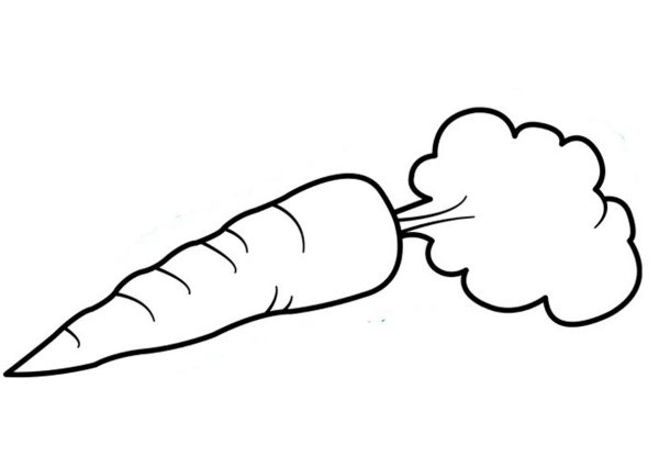 Морковка Графика