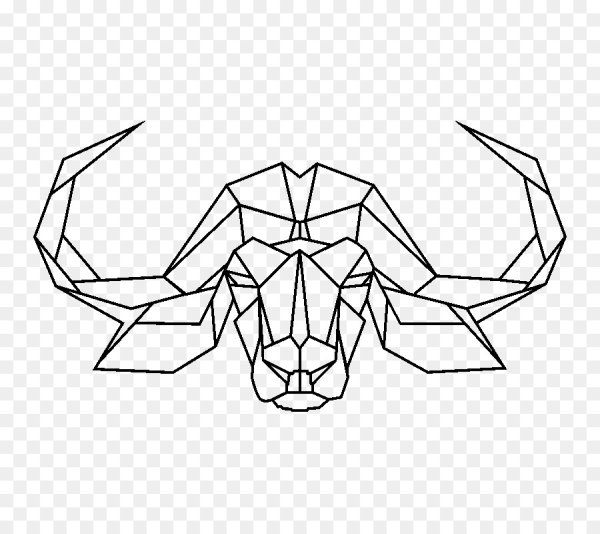 Геометрический контур