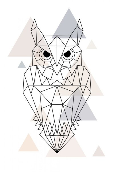 Сканди Сова