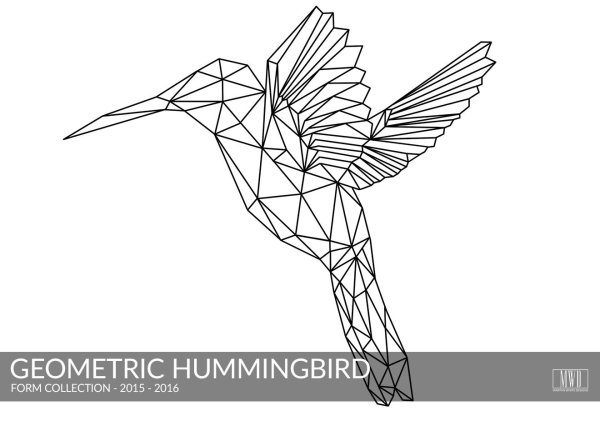 Геометрические птицы