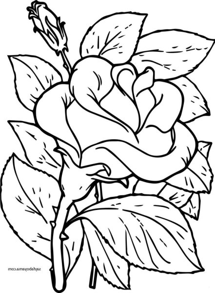 Цветы для раскрашивания