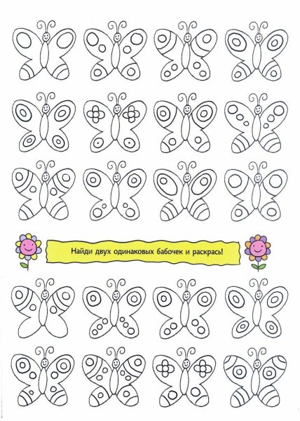 Найди двух одинаковых бабочек