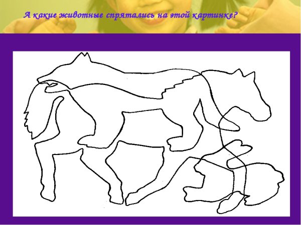Какие животные спрятались на картинке