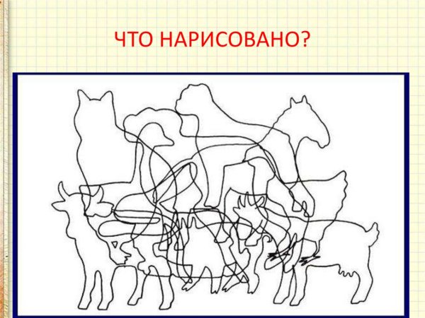 Сколько животных на картинке
