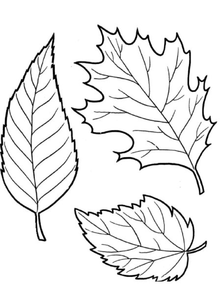 Листья раскраска