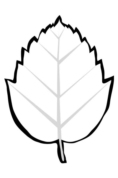 Раскраска дерево с листьями