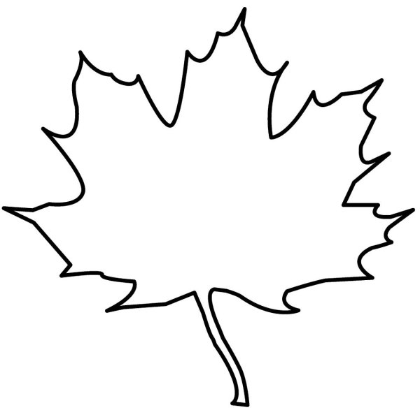 Листья черно белые