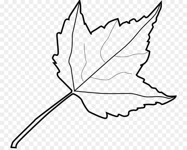 Кленовый лист раскраска для детей
