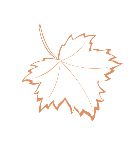 Кленовый листок контур