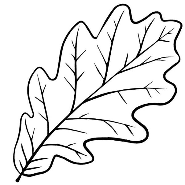 Трафареты "листья"