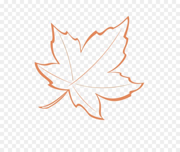 Лист клена контур