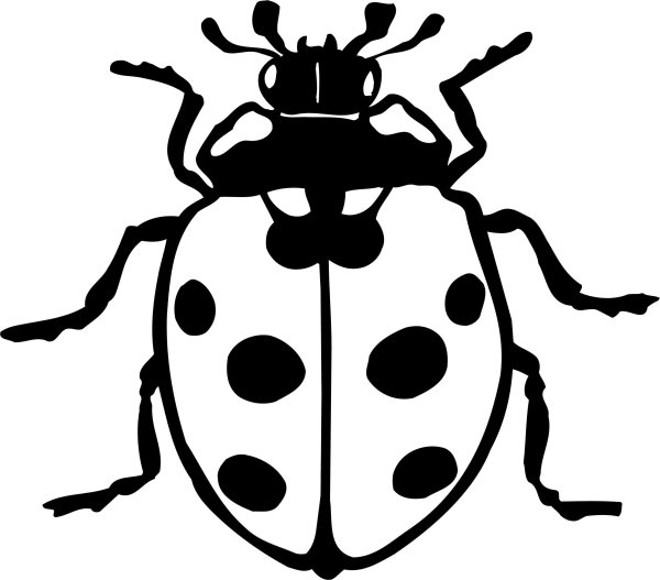 Божья коровка раскраска
