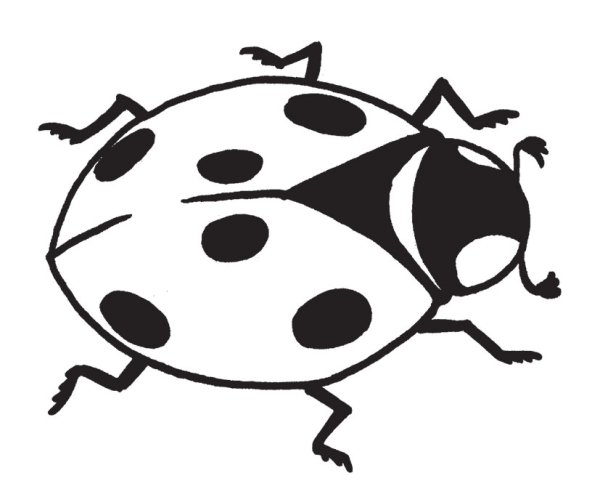 Трафарет "насекомые"