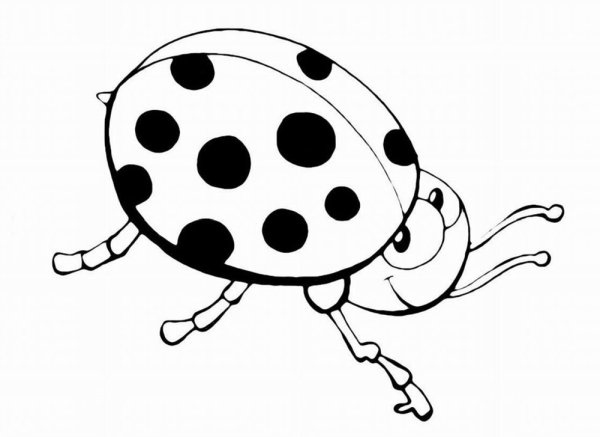 Раскраска Божья коровк