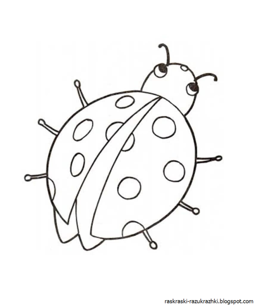 Божья коровка раскраска