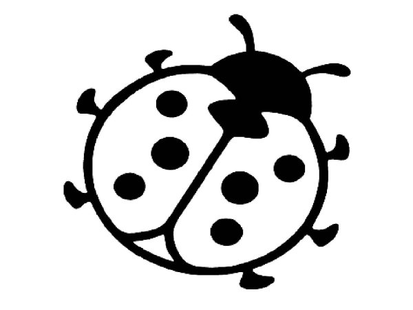 Насекомые Божья коровка раскраски для детей 3 лет