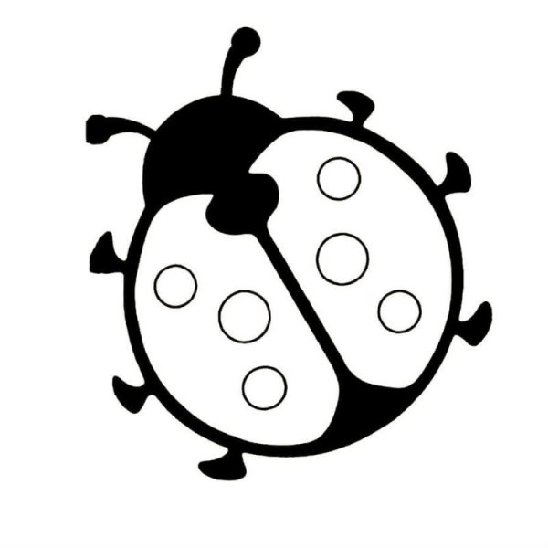 Божья коровка раскраска