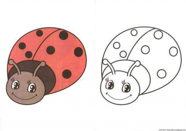 Аппликация Божья коровка
