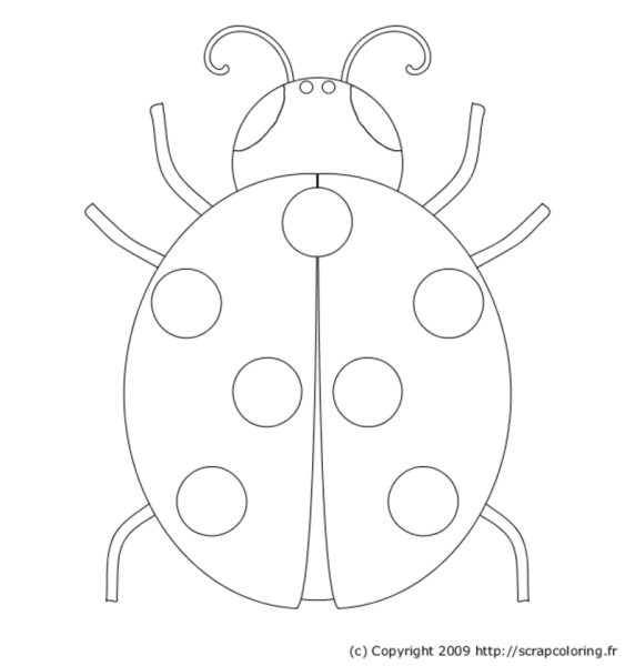 Божья коровка раскраска для детей