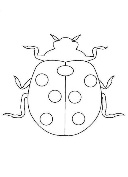 Божья коровка шаблон
