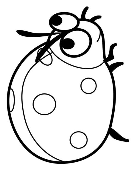 Жук раскраска