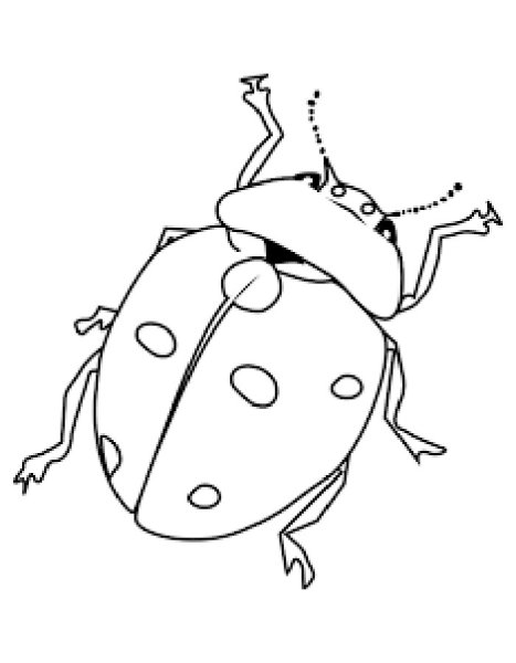 Божья коровка без точек раскраска для детей