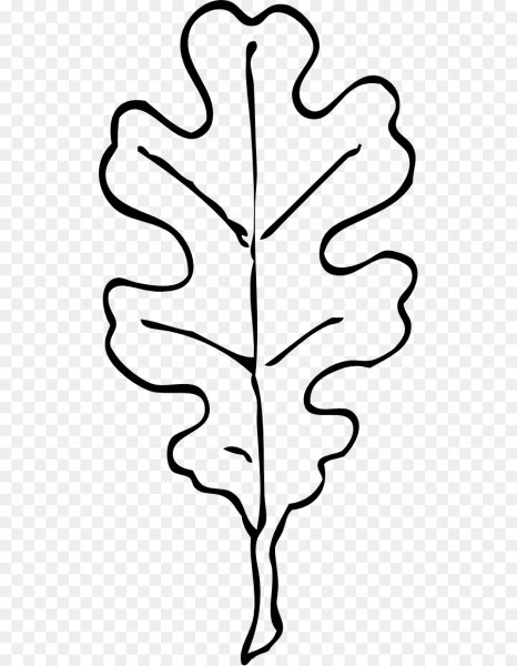 Дубовый лист раскраска