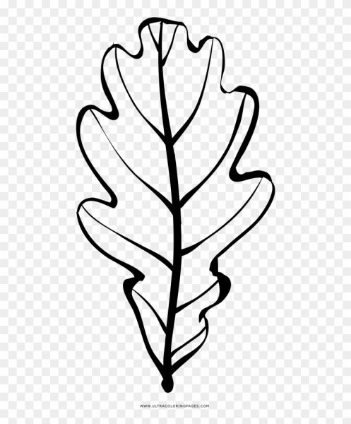 Дубовый лист