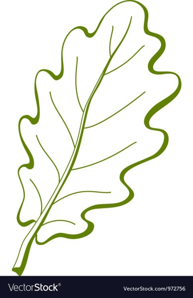 Силуэт Дубового листочка