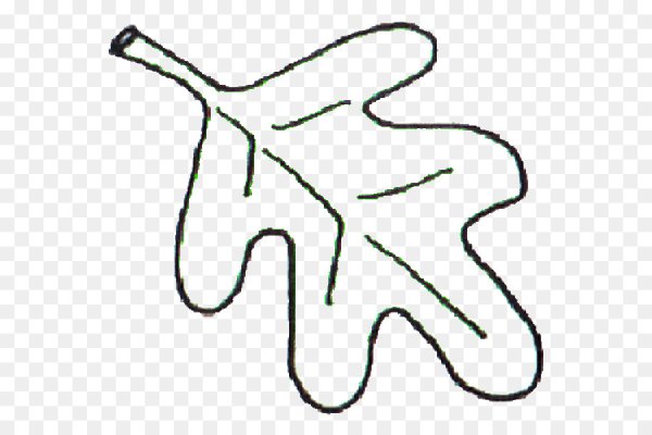 Дубовые листья трафарет для детей