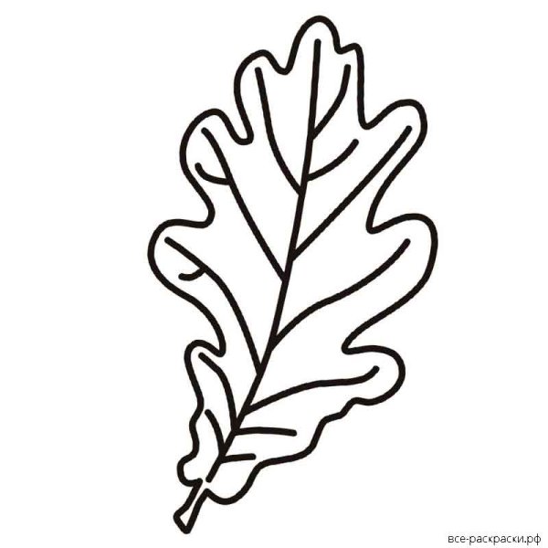 Листок дуба раскраска