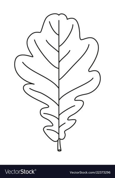 Дубовый лист контур