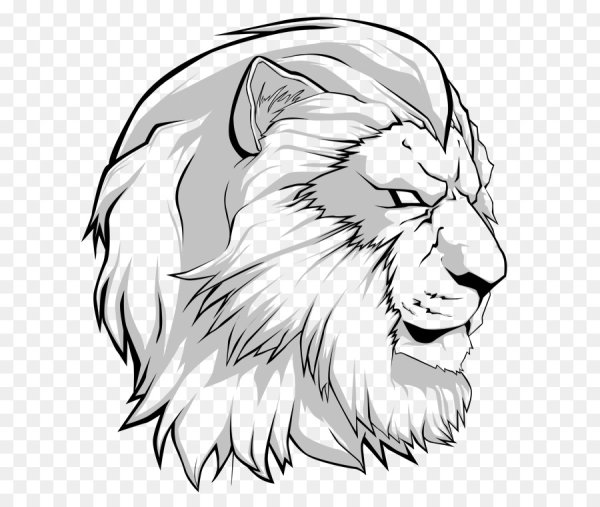 Нарисовать морду Льва