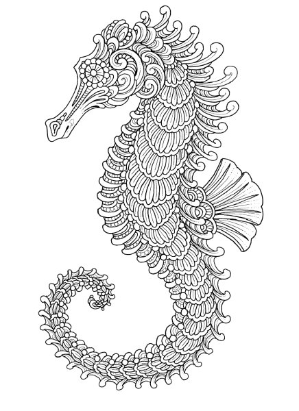 Раскраска морские обитатели