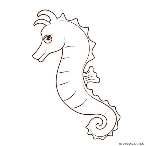 Морской конек карандашом