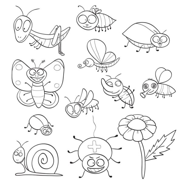 Насекомые. Раскраска