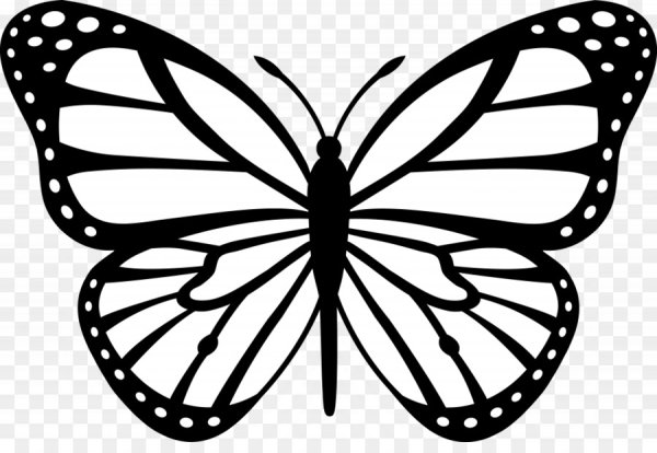 Бабочки трафарет для вырезания
