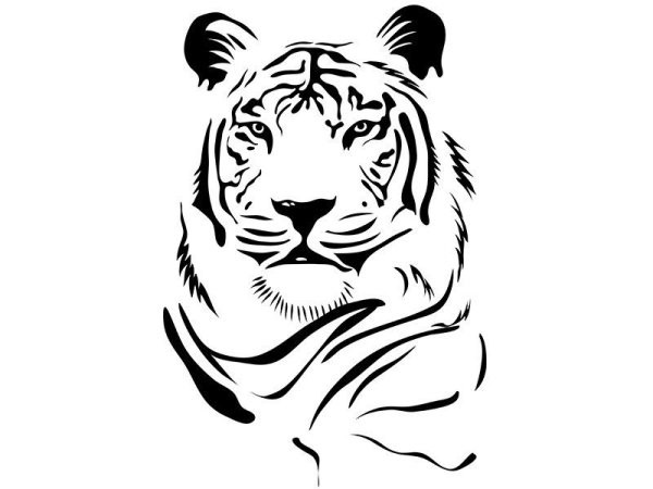 Тигр трафарет
