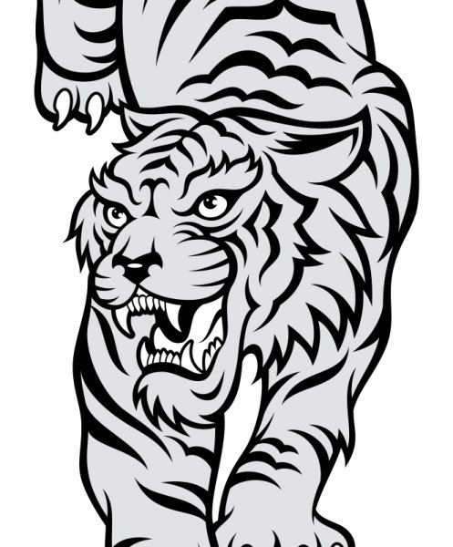 Тигр 2022 вектор