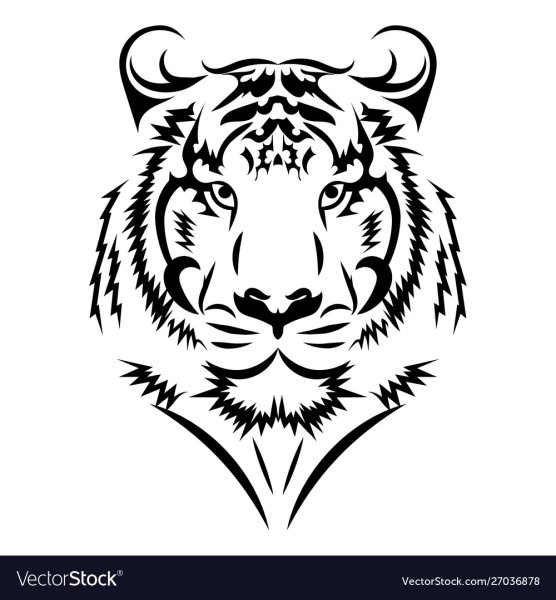 Тигр вектор