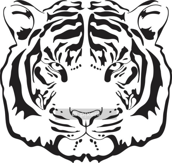 Очертания морды тигра