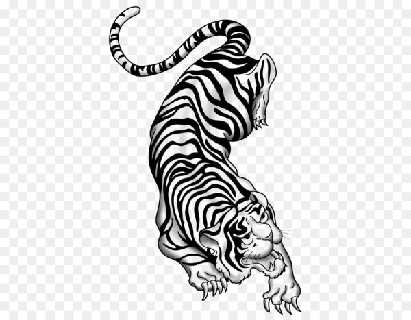 Тату тигра Графика