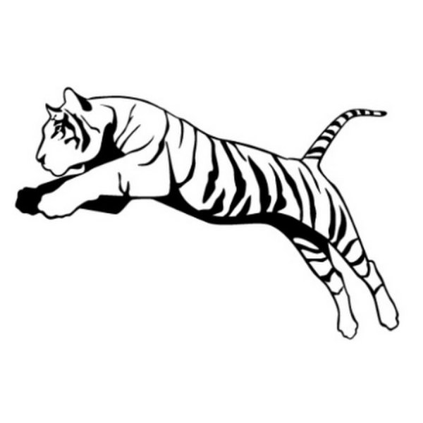 Силуэт тигра