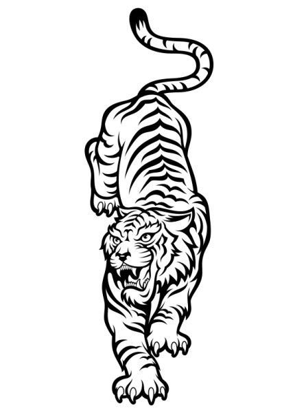 Тату тигра черно белое