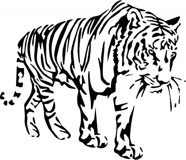 Трафарет тигра для рисования