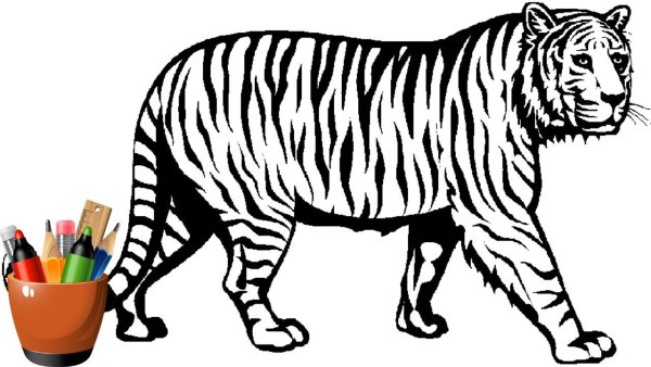 Амурский тигр контур